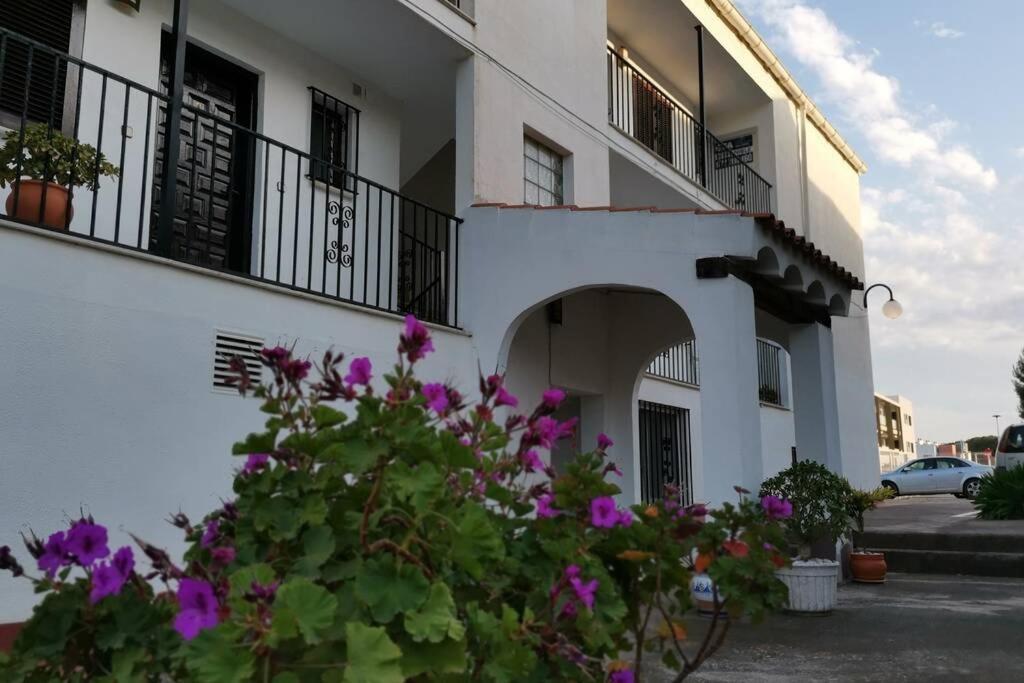 Acogedor Apartamento En La Zona De Las Fuentes Con Wifi Apartment Alcoceber Exterior photo